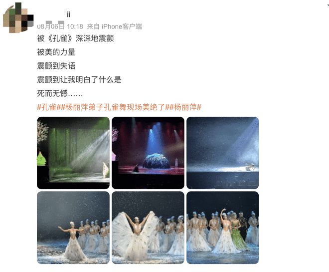 杨丽萍风波再发酵!男舞伴轻生旧闻被重提惹误解