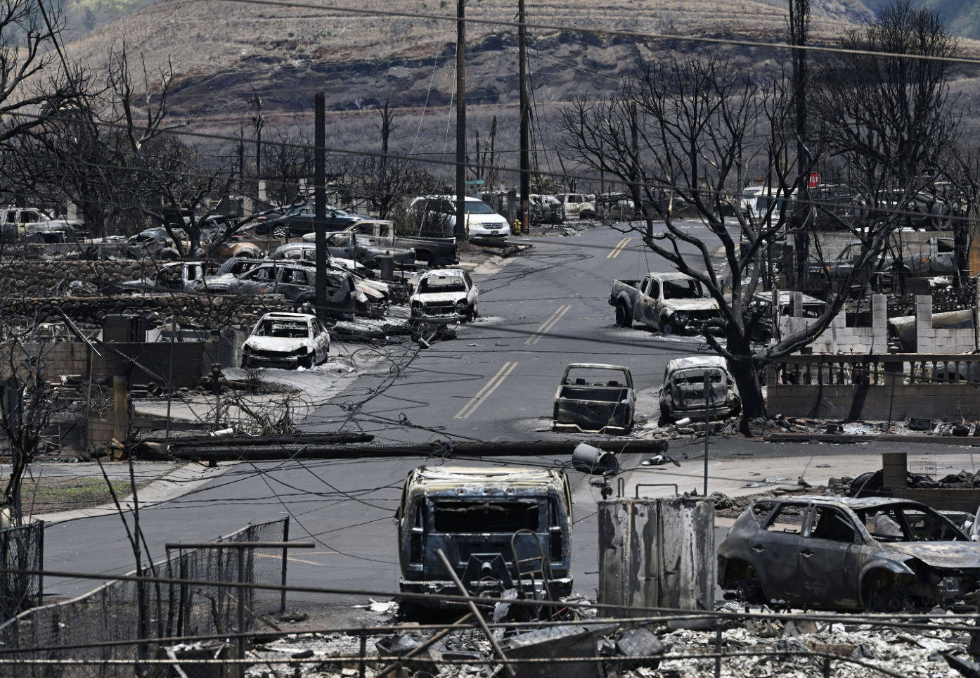 夏威夷野火已致96人身亡，仍有上千人失联！遗骸“一碰就碎”，水面漂浮着遗体