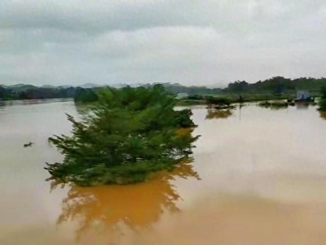 特大暴雨席卷广西玉林：洪水淹没平房房顶，山体滑坡致10人遇难