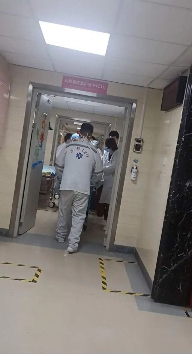 四川崇州通报狗咬伤女童：狗主人被采取刑事强制措施