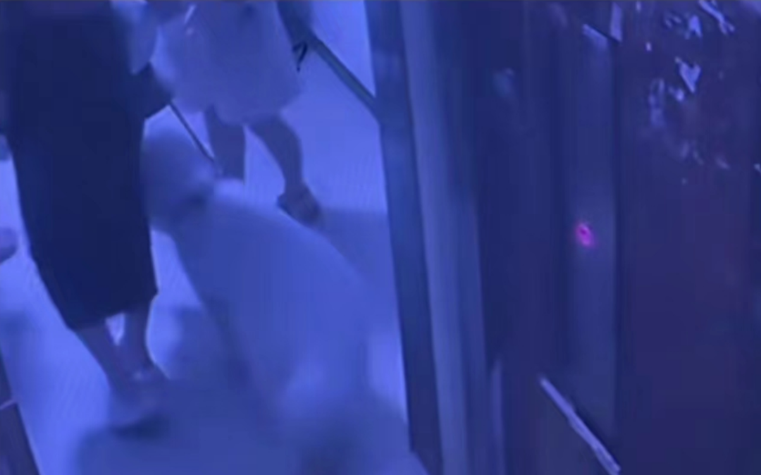 泉州一高校保安在食堂摔流浪狗，校方通报