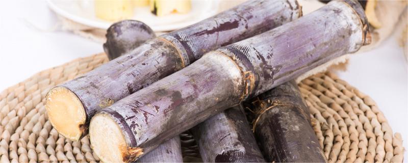 甘蔗吃起来有酒味怎么回事 甘蔗吃起来有酒味怎么回事呢