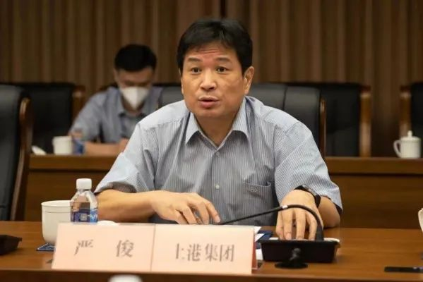 严俊被“双开”！曾任千亿市值公司总裁，被陈戌源一手提拔……