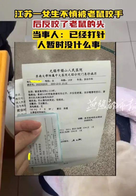 女子被老鼠咬后反咬老鼠一口，网友：是个狠人！