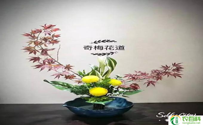 剑山插花怎么插 剑山插花是什么意思