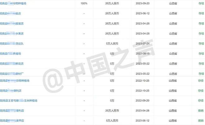 为完成上级“市场主体倍增”要求 村支书竟办理20张营业执照！