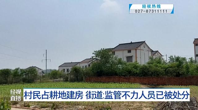 武汉一地村民占耕地建房，多方回应，当地街道：相关人员已被处分