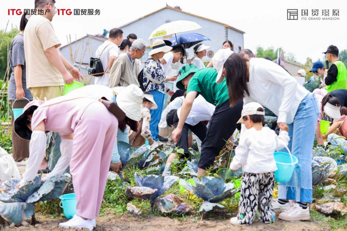 播放量500万+ 《海好有你》歌曲出圈丨国贸地产海洋月活动持续升温